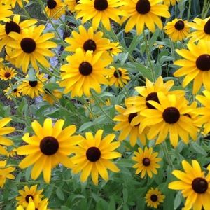 Meet your Posher, May